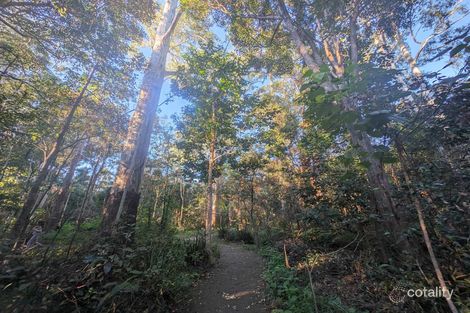 Property photo of 20 Murphys Lane Oxenford QLD 4210