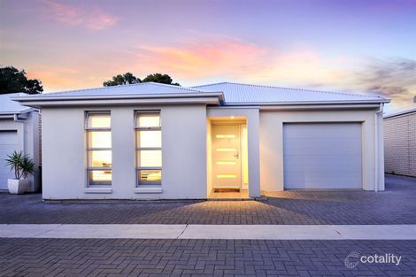 Property photo of 19 Downer Street Plympton Park SA 5038