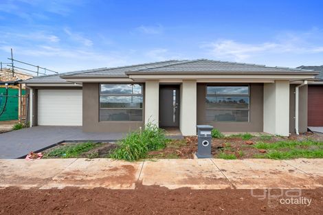 6 Adelong Bvd, Cobblebank, VIC 3338
