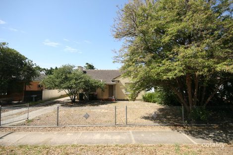11 Everest Ave, Morphettville, SA 5043