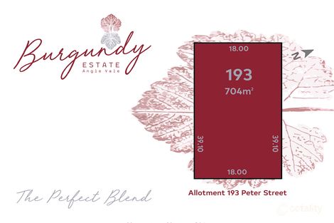 Property photo of 20 Peter Street Angle Vale SA 5117