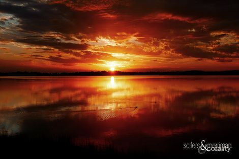 50 Lisadell Rd, Medowie, NSW 2318