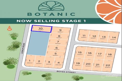 24 Lignum Rd, Moama, NSW 2731