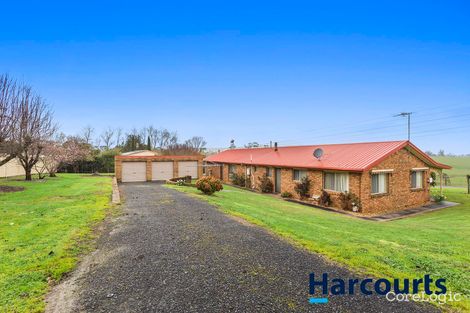 Property photo of 1 Gaul Avenue Darnum VIC 3822