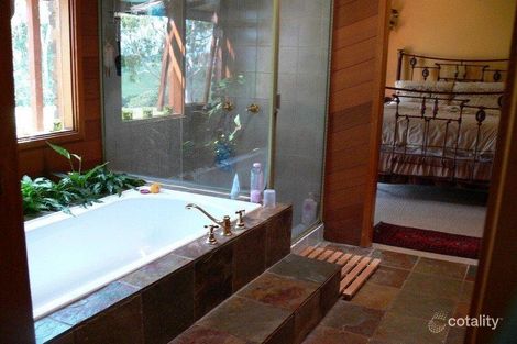 Property photo of 585 Pearces Creek Road Alstonvale NSW 2477