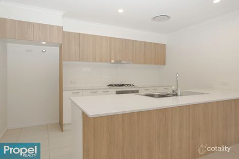 Property photo of 12 Bourke Crescent Nudgee QLD 4014