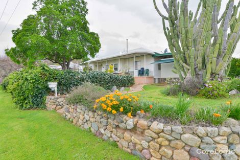 Property photo of 11 Cohen Street North Tamworth NSW 2340