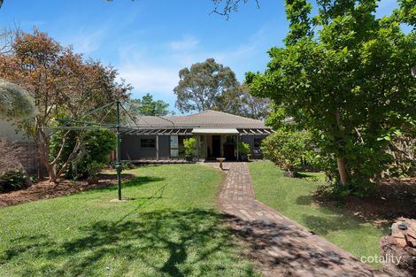 Property photo of 6 Dalkeith Street Northbridge NSW 2063
