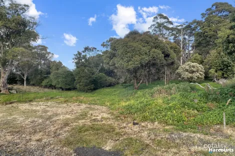 29 John St, Cornwall, TAS 7215
