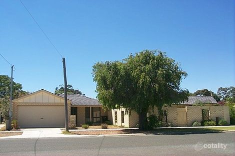 12a Grant St, Innaloo, WA 6018