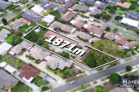 Property photo of 19 Francis Street Clayton VIC 3168