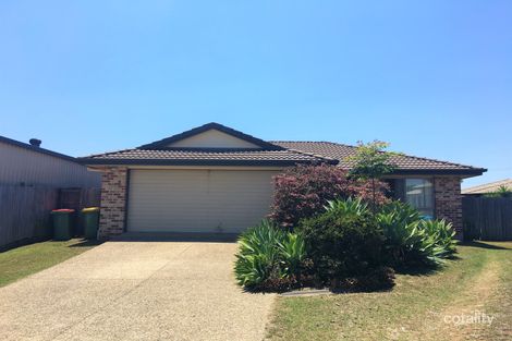 Property photo of 20 Willow Close Raceview QLD 4305