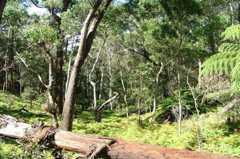 1261c Ten Mile Rd, Deepwater, NSW 2371