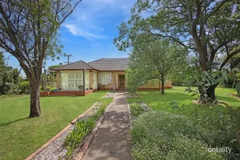 Property photo of 25 Bourke Street Singleton NSW 2330