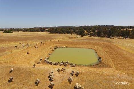 Property photo of 984 Chitty Road Hoddys Well WA 6566