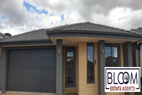 64 Remedy Dr, Clyde, VIC 3978