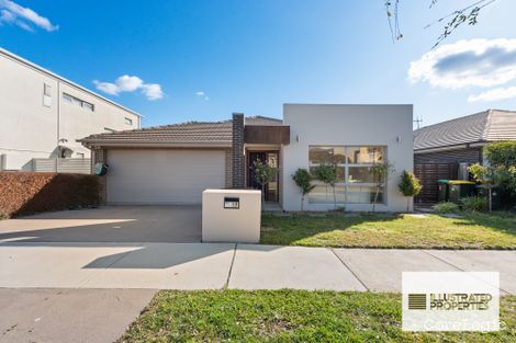 Property photo of 19 Blizzard Circuit Forde ACT 2914