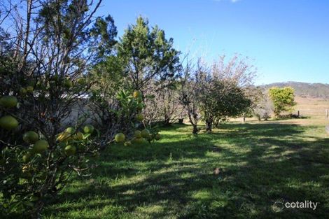 Property photo of 3962 Armidale Road Nymboida NSW 2460