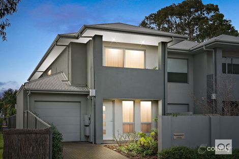 2/52a Robsart St, Parkside, SA 5063