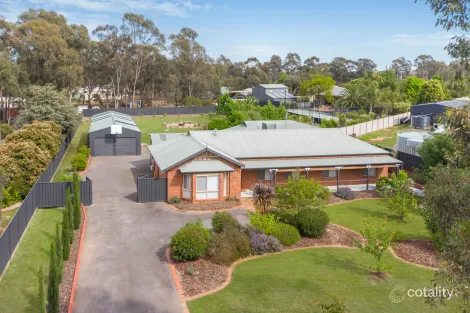 Property photo of 6 Conboy Court Ascot VIC 3551