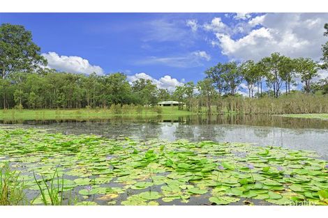 163 Abbotsford Mountain Rd, Bucca, QLD 4670