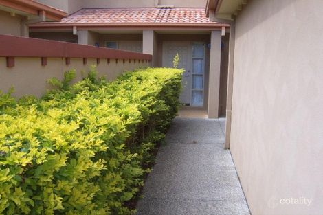 Property photo of 29/4 University Drive Robina QLD 4226