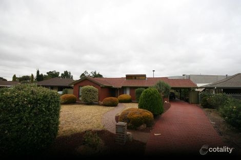 6 Adrian Ct, Marion, SA 5043