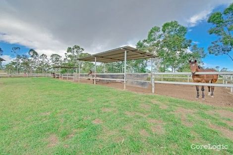 Property photo of 2001 Emu Park Road Tungamull QLD 4702