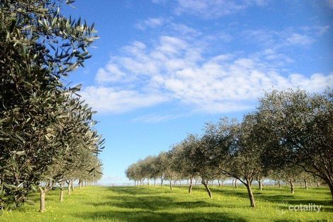 45 Carissa Rd, Mclaren Vale, SA 5171