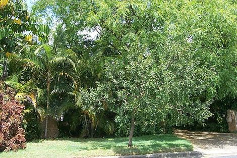 45 Aberdare St, Darra, QLD 4076