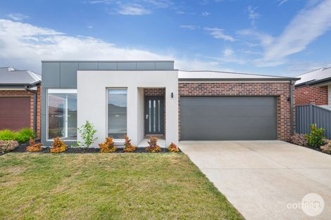 17 Beldi St, Alfredton, VIC 3350