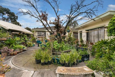 Property photo of 11 Westmere Crescent Coolaroo VIC 3048