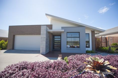Property photo of 20 Harvest Boulevard Chisholm NSW 2322