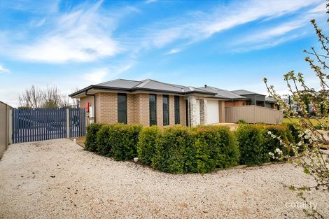 Property photo of 44 Moore Avenue Nuriootpa SA 5355