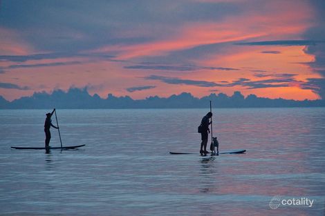 Property photo of 3 Natal Avenue Edithvale VIC 3196