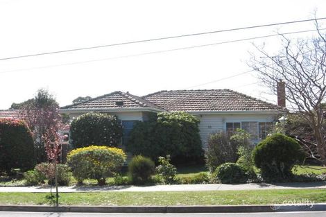 Property photo of 2/19 Maple Street Mount Waverley VIC 3149