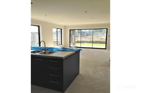 Property photo of 43 Kale Road Spring Farm NSW 2570