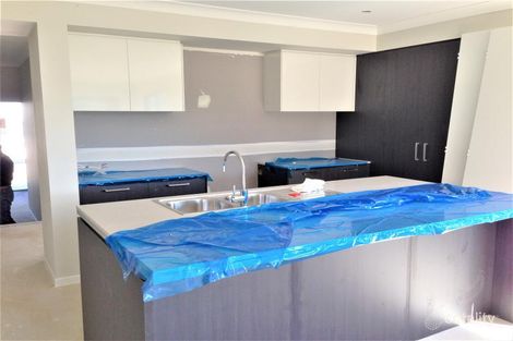 Property photo of 43 Kale Road Spring Farm NSW 2570