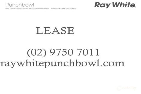 2/816 Punchbowl Rd, Punchbowl, NSW 2196