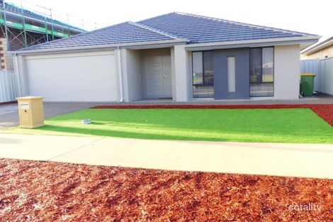 13 Nile Cres, Southern River, WA 6110