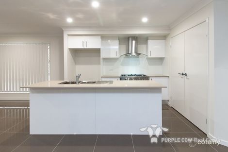 Property photo of 4 Sawyer Street Spring Mountain QLD 4300