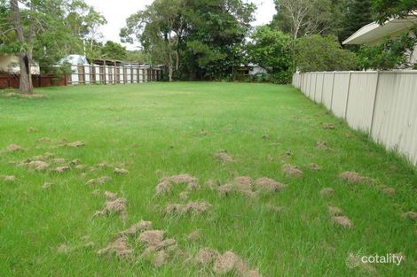 Property photo of 11 Pandanus Avenue Coolum Beach QLD 4573