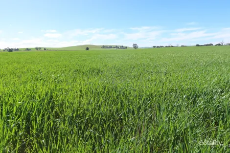 5456 Wilkins Hwy, Belalie East, SA 5491