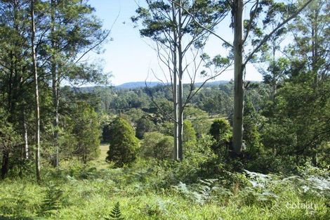 98 Campbell Rd, Stony Chute, NSW 2480