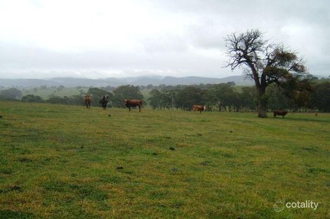 6 Panyule Rd, Pyalong, VIC 3521