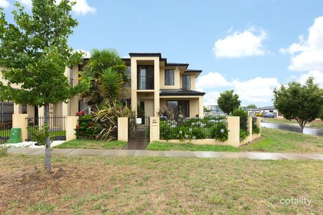 Property photo of 52 Mary Gillespie Avenue Gungahlin ACT 2912