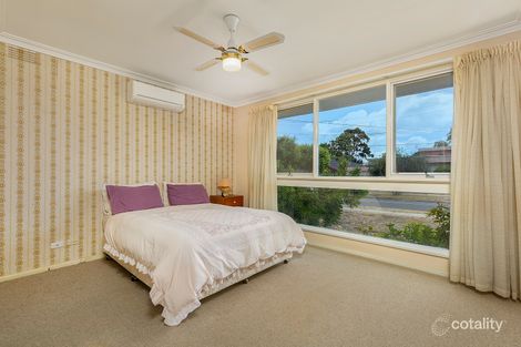 Property photo of 38 Blue Hills Avenue Mount Waverley VIC 3149