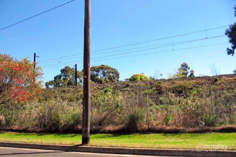 43a Falls St, Leichhardt, NSW 2040