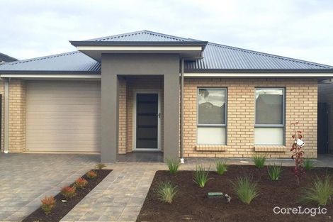 31 Aldridge Ave, Plympton Park, SA 5038