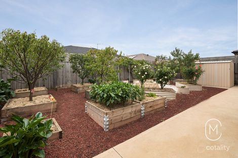 Property photo of 17 Tallawong Drive Doreen VIC 3754